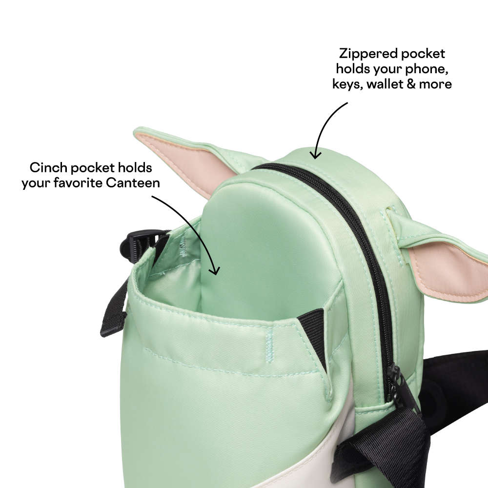 disney-sling-f3 53593b3e49e2--Sling-PDP-4.png