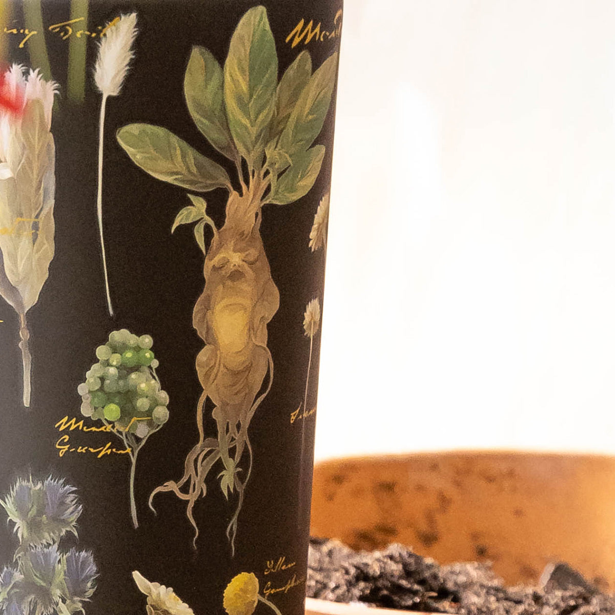 harry-potter-cold-cup-o3 Herbology-3.jpg
